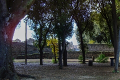 Pompeii-Italy15