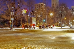 New-York51